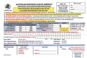 Wenn der Australian Shepherd Züchter für seine Welpenkäufer das ASCA Papier nicht beantragt, sondern lediglich den Antrag dafür mitgibt, sind die meisten Neuwelpenbesitzer völlig überfordert und wissen nicht genau, wie sie diesen Antrag ausfüllen.
Nachfolgend möchte ich dir deshalb Schritt für Schritt erklären, wie du den Antrag ausfüllst (und was die Amerikaner überhaupt von dir möchten).