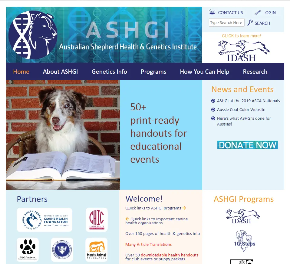 ASHGI IDASH Anleitung - Wie trage ich meinen erkrankten Aussie ein? - Yellowstone Australian Shepherds