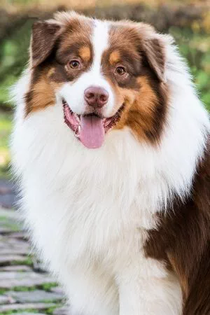 Don-portraitBild.jpg Don-portraitBild.jpg