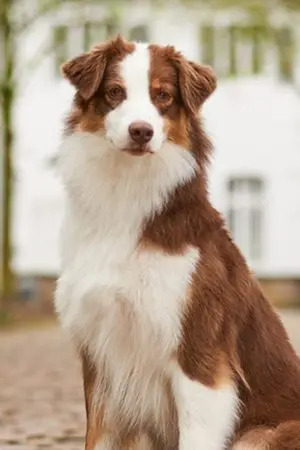 Maggy-portraitBild.jpg Maggy-portraitBild.jpg
