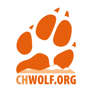 Ranz- oder Paarungszeit | CHWOLF.org