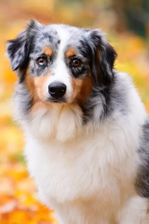 Fleur-portraitBild.jpg Fleur-portraitBild.jpg