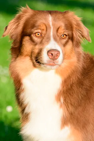Sloan-portraitBild.jpg