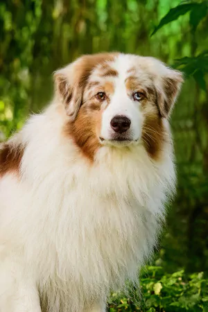 Fynn-portraitBild.jpg Fynn-portraitBild.jpg