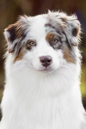 Ira-portraitBild.jpg Ira-portraitBild.jpg
