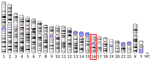 HSF4 - Wikipedia