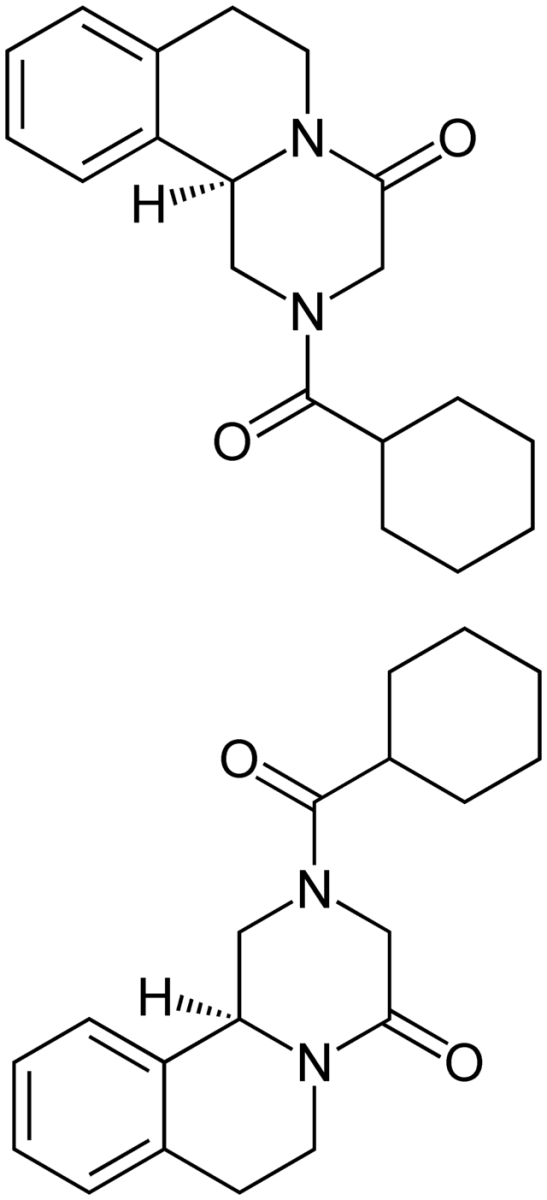 Praziquantel – Wikipedia