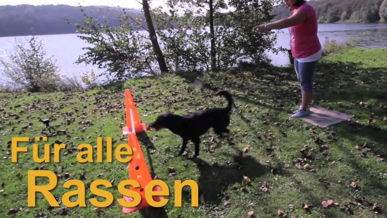 SNOPUS® News | SNOPUS® - Hunde fürs Leben