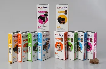 Bravecto® Kautablette für Hunde - MSD Tiergesundheit Deutschland