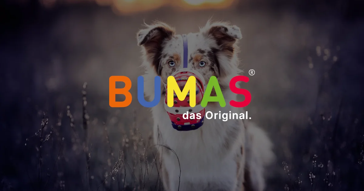 BUnte Maulkörbe nach mASs