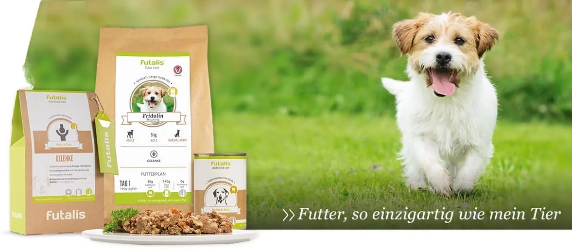 Body Condition Score bei Hunden (BCS) » futalis.de