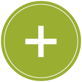 Hundeschule Rostock - for.FOUR Dogcoaching