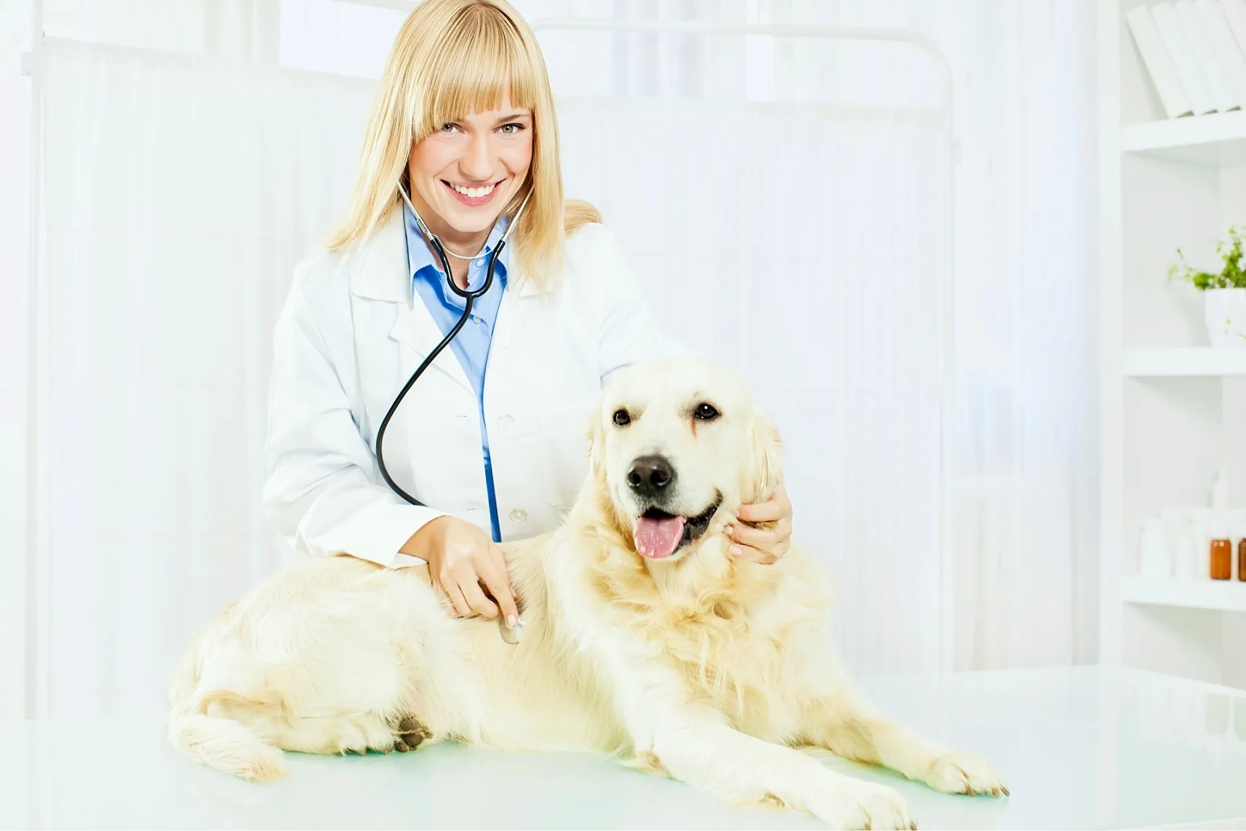 Tierklinik Kaiserberg