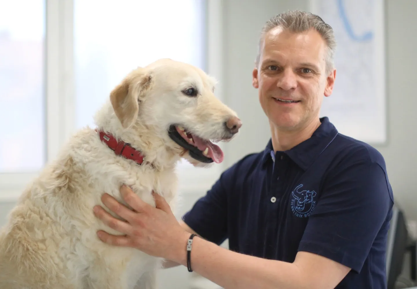 Herzlich Willkommen in der Tierklinik Rostock - Tierklinik Rostock GmbH