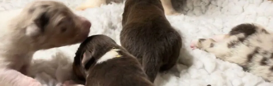 Ira-Ted-8-Tage-alt-Beitragsbild.jpg