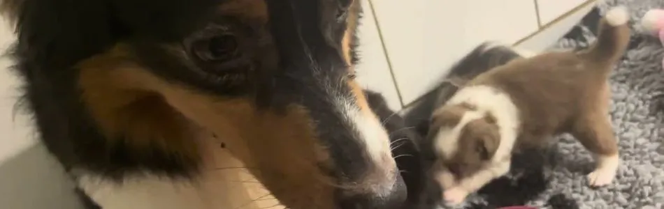 Lucy-Fynn-Guten-Morgen-Beitragsbild.jpg