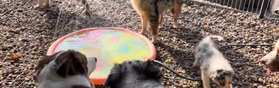 Lucy-Fynn-Neue-Spielsachen-Teil-2-Beitragsbild.jpg