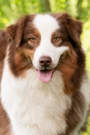 Rosy-portraitBild.jpg