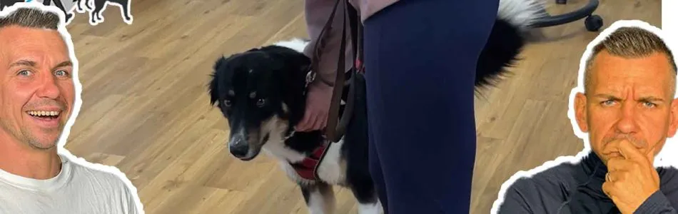 Infos-Da-MUSST-du-fuer-deinen-Hund-UeBERNEHMEN-Kundenstimmen-und-Training-9-Beitragsbild.jpg