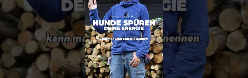 Infos-Hunde-spueren-deine-Energie-hundetraining-welpen-entspannen-Beitragsbild.jpg