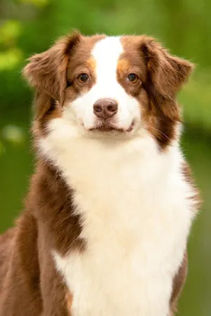 Quietschie-portraitBild.jpg Quietschie-portraitBild.jpg