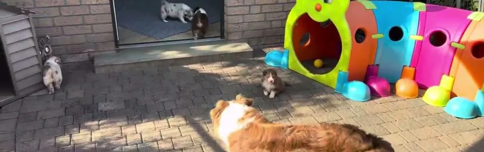 Cally-Tony-On-the-run-Beitragsbild.jpg
