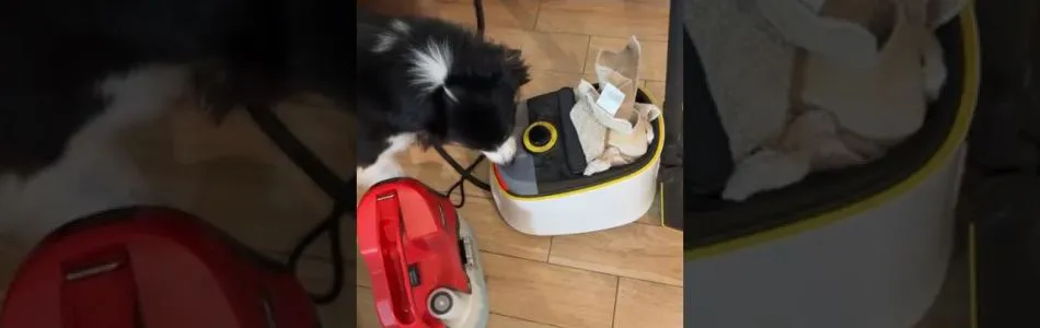 Aus-dem-Alltag-eines-Zuechters-Schluckspechte-Beitragsbild.jpg Aus-dem-Alltag-eines-Zuechters-Schluckspechte-Beitragsbild.jpg