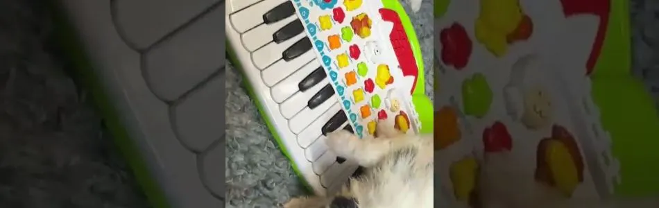 Ira-Tiger-Musikalische-Fruehfoerderung-Teil-3-Beitragsbild.jpg Ira-Tiger-Musikalische-Fruehfoerderung-Teil-3-Beitragsbild.jpg