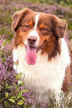 Ted-portraitBild.jpg