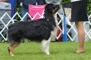 Luke_Stand_rechts