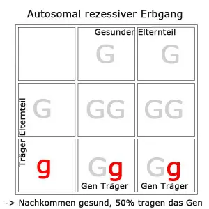 autosomal-rezessiv-1