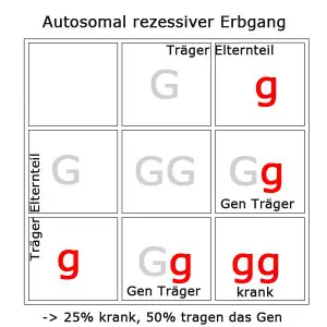autosomal-rezessiv-2
