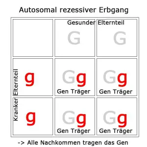 autosomal-rezessiv-3