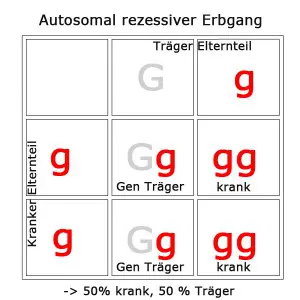 autosomal-rezessiv-4