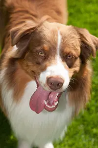 cooper_portrait cooper_portrait