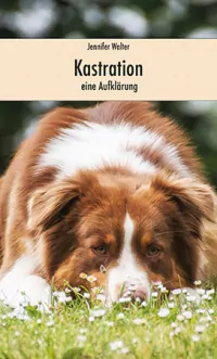 kastration_cover kastration_cover
