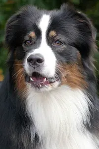 luke_portrait