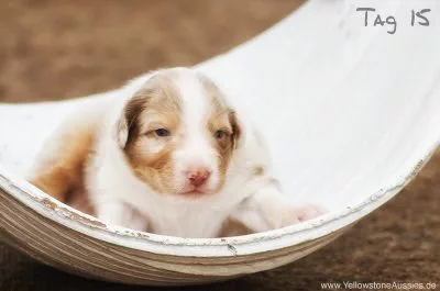 sammy4 sammy4